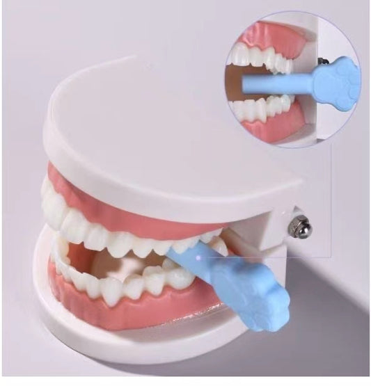 (50 units) 2-Pack Orthodontic Aligner Chewie – Paw Shape