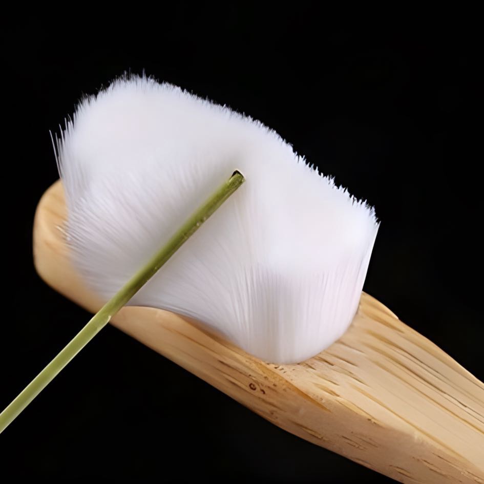 Branded Soft Bamboo Toothbrush for Corporate Promotions in New Zealand